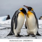 全面了解搜狐网站官网的功能与特色 00oc7aq5a